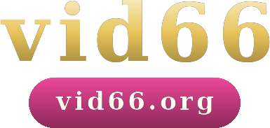 vid66 logo